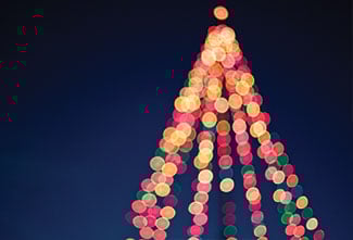 holidaylights.jpg