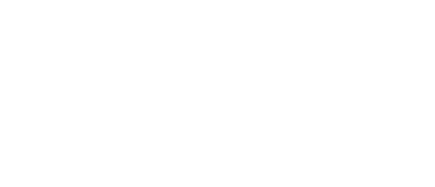 LEM-95-anniversary-logo-tag-1
