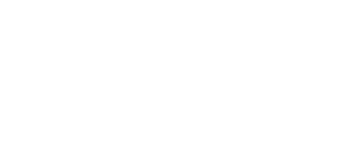 LEM-95-anniversary-logo-tag