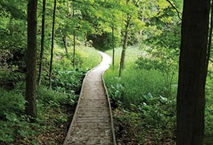 IMG: Hagens Hikes, along the non-urban shore of the Milwaukee River