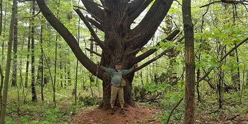 HagensHikes_Tree